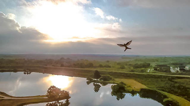 Kyle, Texas